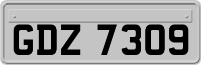 GDZ7309