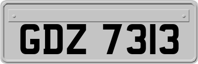 GDZ7313