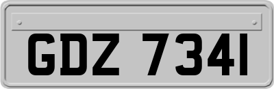 GDZ7341