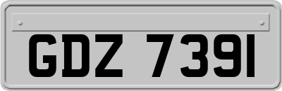 GDZ7391