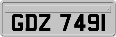GDZ7491