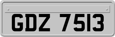 GDZ7513