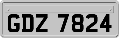 GDZ7824
