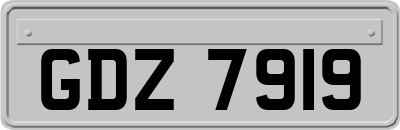 GDZ7919