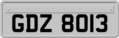 GDZ8013
