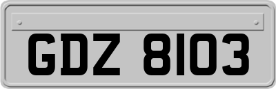 GDZ8103