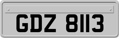 GDZ8113