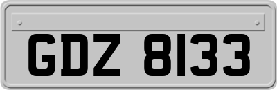GDZ8133