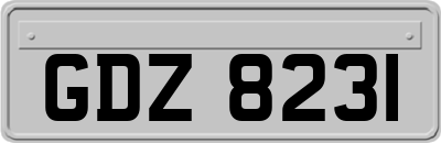 GDZ8231