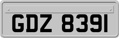 GDZ8391