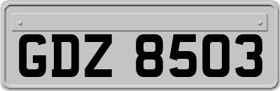 GDZ8503