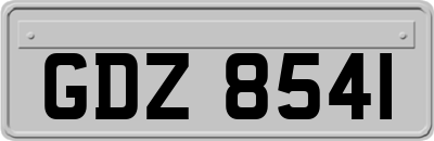 GDZ8541