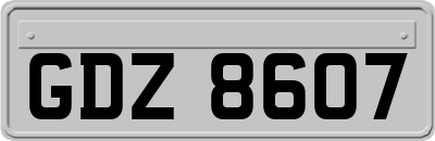 GDZ8607