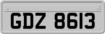 GDZ8613