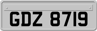 GDZ8719