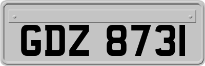 GDZ8731