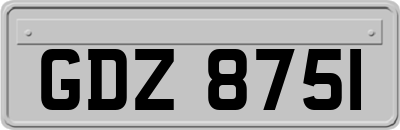 GDZ8751