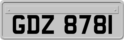 GDZ8781