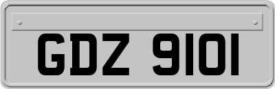 GDZ9101