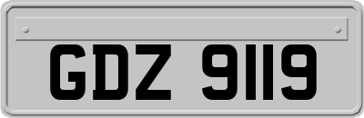 GDZ9119