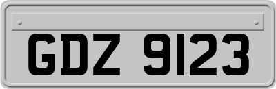 GDZ9123