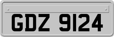 GDZ9124