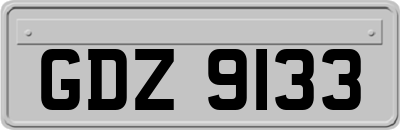 GDZ9133