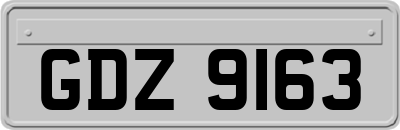 GDZ9163