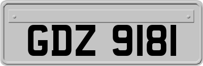 GDZ9181