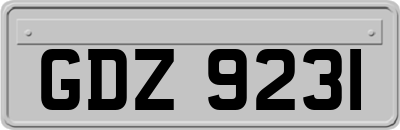 GDZ9231