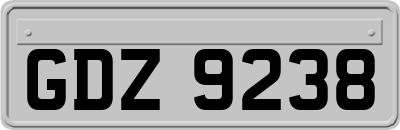 GDZ9238