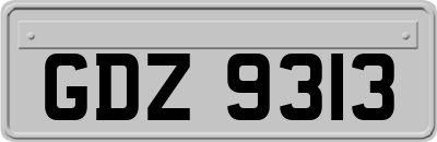 GDZ9313