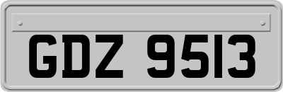 GDZ9513