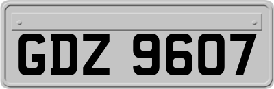 GDZ9607