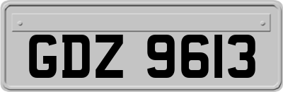 GDZ9613