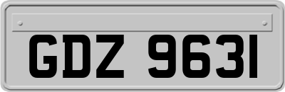 GDZ9631
