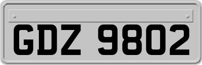 GDZ9802
