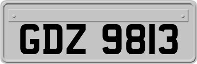 GDZ9813