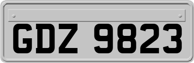 GDZ9823