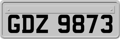 GDZ9873