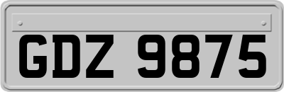 GDZ9875