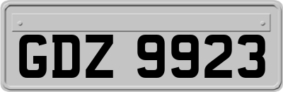 GDZ9923