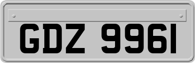 GDZ9961