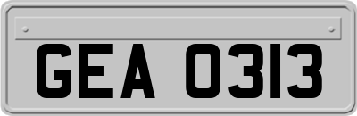 GEA0313