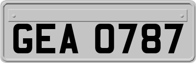 GEA0787