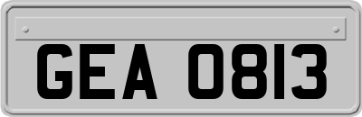 GEA0813