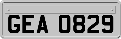 GEA0829