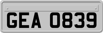 GEA0839