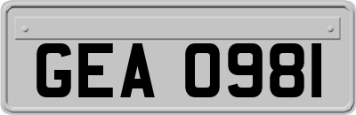 GEA0981