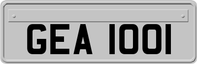 GEA1001